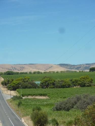 Amande Bed&Breakfast Mclaren Vale Buitenkant foto